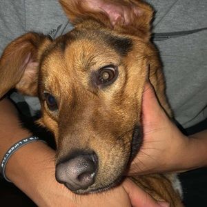 Meet your Posher, Isaiah